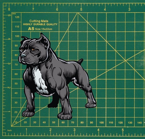 Blue staffordshire bull - staffordshire,
