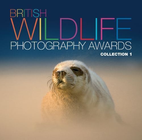 British wildlife photography - british,