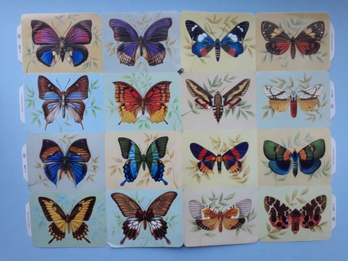 Vintage scraps butterflies - scraps,