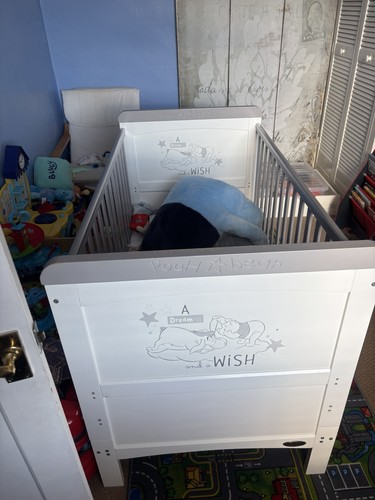 Obaby winnie the - pooh, cot