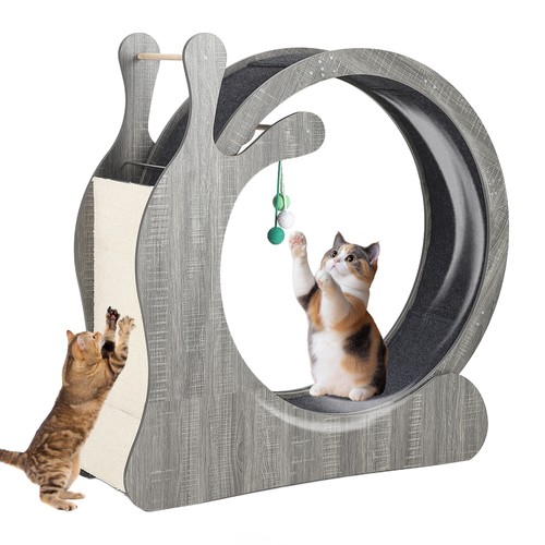 Cat exercise wheel inner - exercise,