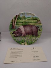 Royal Doulton Pigs in Bloom Collection - Bluebell Collectors Plate + Certificate