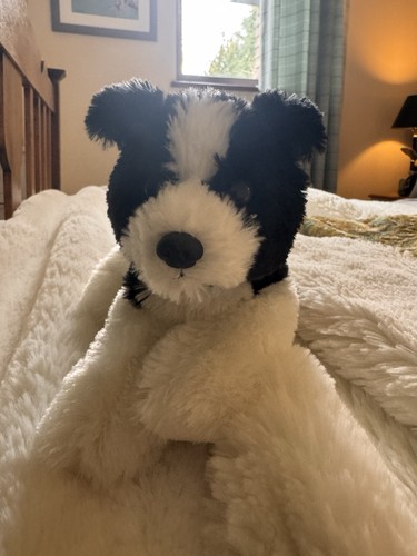Aurora 20cm border collie - aurora, dog