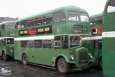Bus Photo - Dundee Corporation