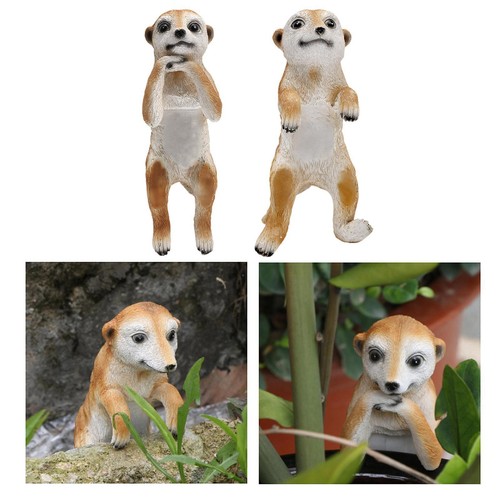 Meerkat garden animal statue - meerkat,