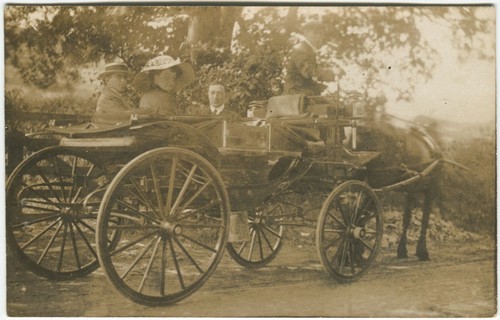 Horse drawn carriage working - drawn,