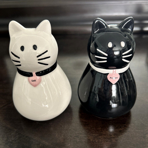 Adorable black white tuxedo - adorable,
