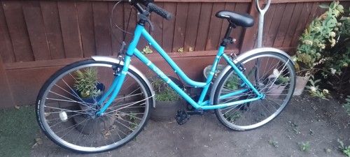 Apollo cafe hybrid lady s - cafe,