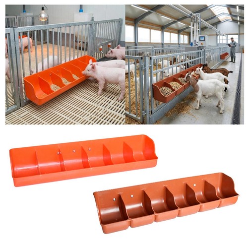 Piglet feed trough - feed, livestock