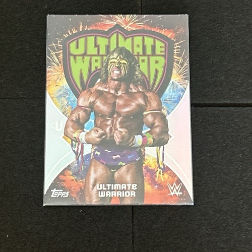 2025 topps universe - 2025, wwe