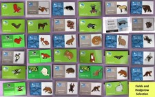 RSPB pin badges - The Fields