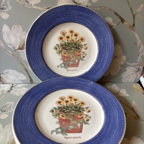 Wedgwood sarah s garden - wedgwood, sarah’s