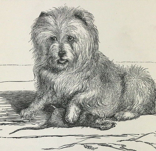 Vixen 1814 sir edwin - 1814,
