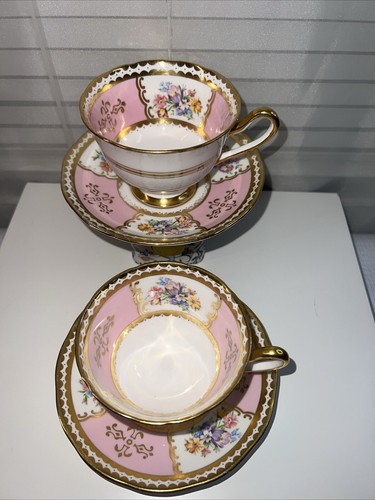 Salisbury bone china tea cup - bone,