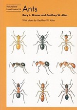 Ants: 24 (Naturalists' Handbooks), Allen, Geoffrey W.