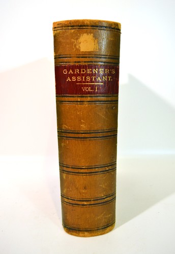 1904 thompson gardeners - 1904,
