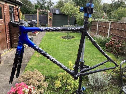 Giant tcr carbon - tcr,
