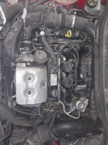 Engine ford fiesta - ford, mk8