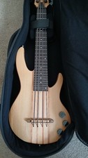 Ashbury AU-115E Solid Body