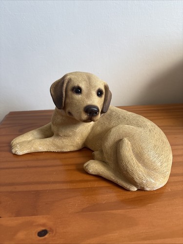 Sandicast labrador dog - labrador,