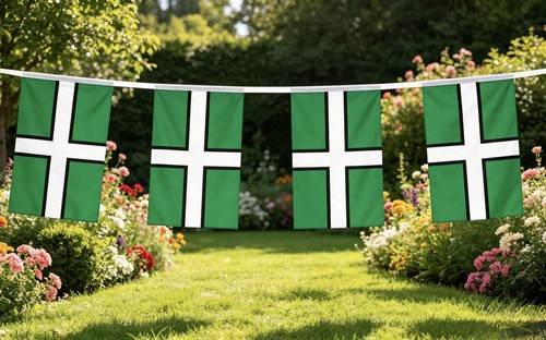 Devon county flag - devon, 9