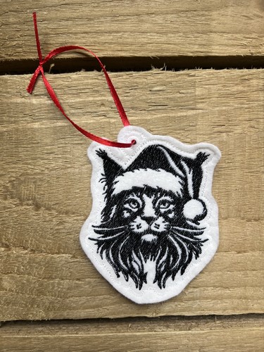 Maine coon cat hanging - ,