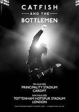 Catfish and the Bottlemen