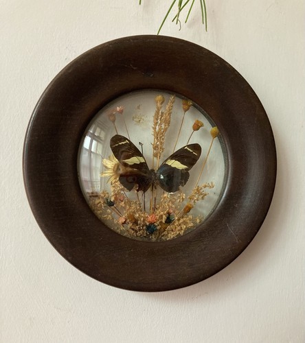 Vintage oval convex - oval, framed