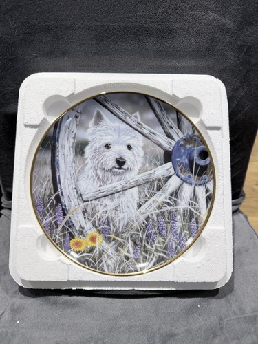 Danbury mint paul doyle - danbury,