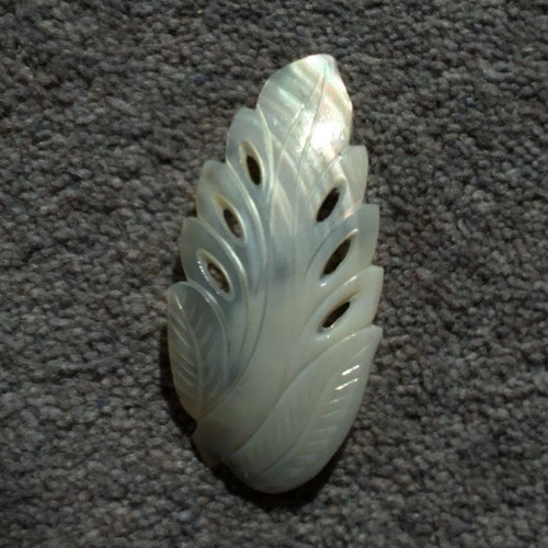 Mother pearl abalone - of, shell