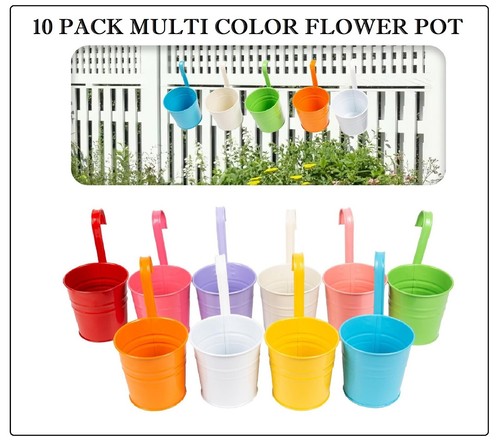 Pack multi color flower - 10,