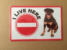Rottweiler Beware of the Dog
