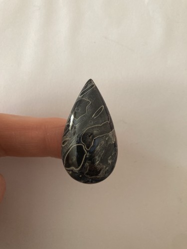 Petrified palm wood cabachon - wood,