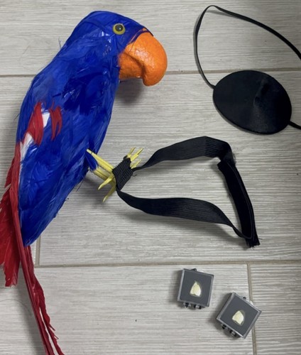 Pirate blue parrot shoulder - pirate,