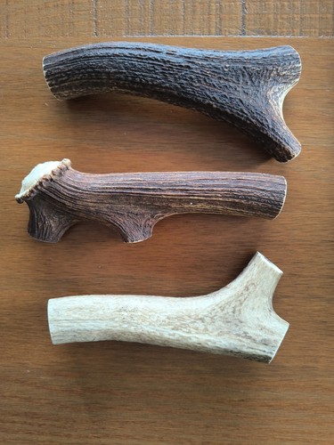 Deer antler chunks dog - deer, chunks,