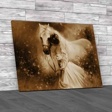 Girl With Horse The Beauty Of