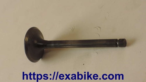 Exhaust valve for kawasaki - for,