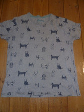 Boden Johnnie b, grey dog