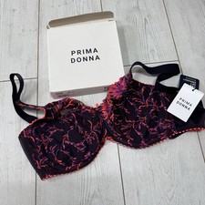 PRIMADONNA Las Salinas Tulip