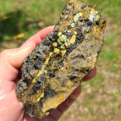 Nautilus variscite rough - nautilus,