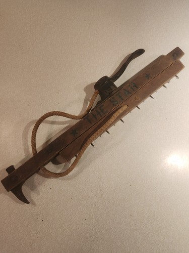 Antique carpet stretcher and - antique,