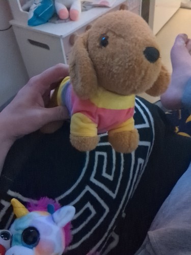Sausage dog plush - sausage,