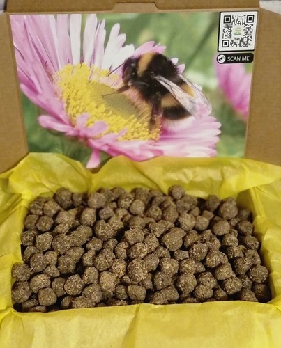 Bee bombs wildflower seeds - bombs,