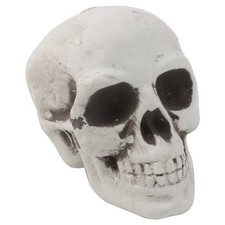 Plastic Human Mini Skull Decor