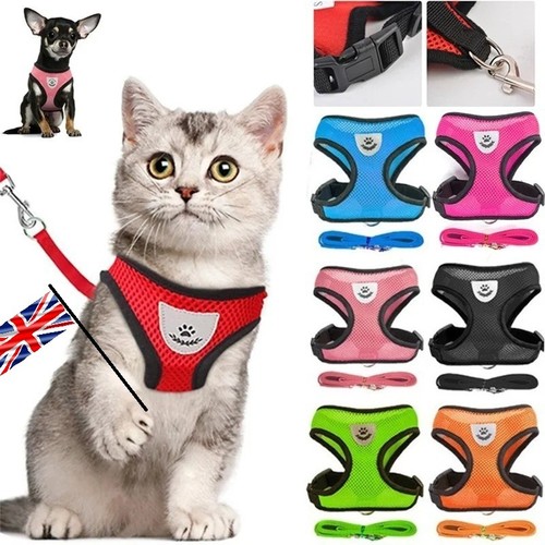 Adjustable cat harness and - adjustable,