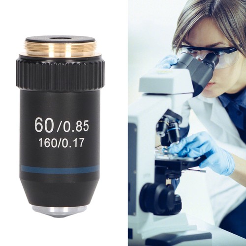 Achromatic objective 60x - objective,