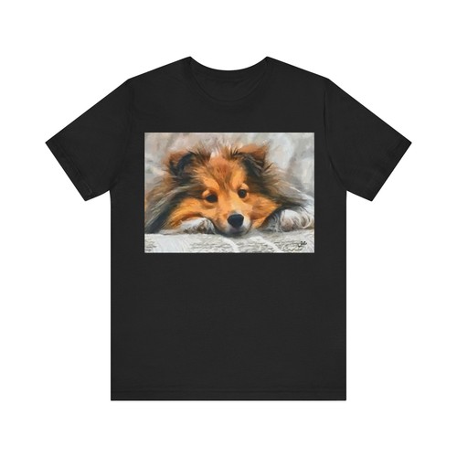 Shetland sheepdog sheltie - sheepdog, 'sheltie'
