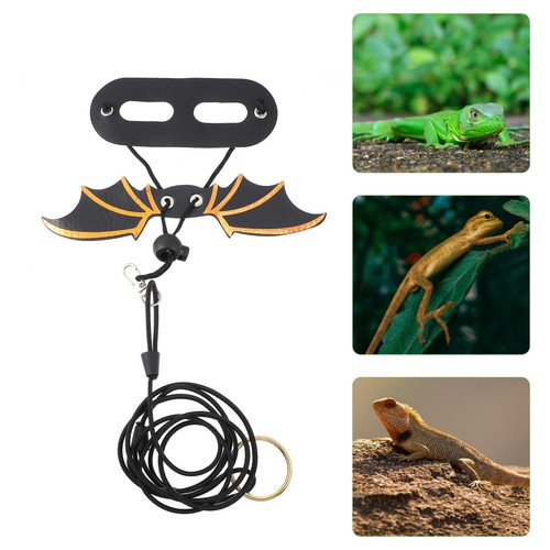 5pcs bearded dragon - bearded,