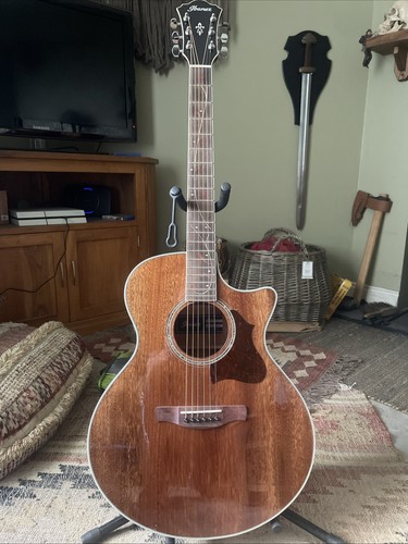Ibanez ar245 acoustic - ibanez, ar245-nt