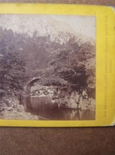 Stereoscopic Stereo-view